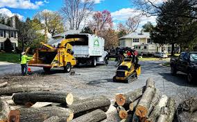 Best Hedge Trimming  in South Blooming Grove, NY